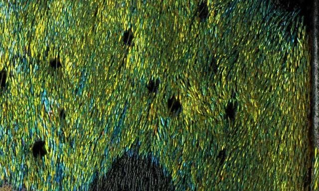 成片百亿像素!这张照片打印出来比你家房子还