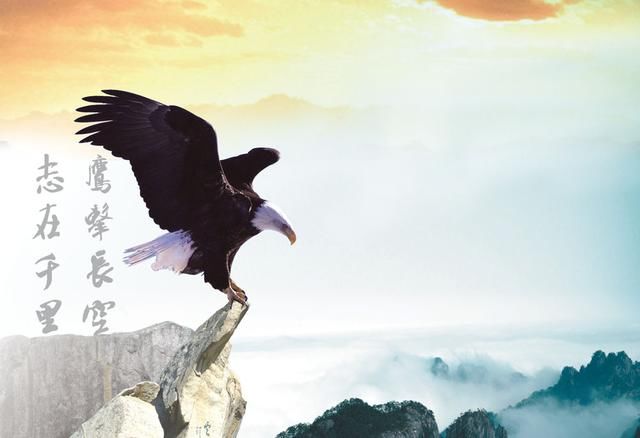 向初梵:华尔街经典投资思路分享,投资者必上的