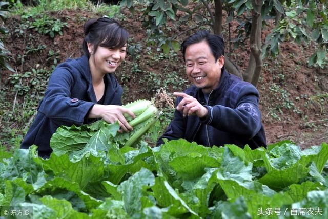 国家乡村振兴战略开始实施,农村这几个方面将