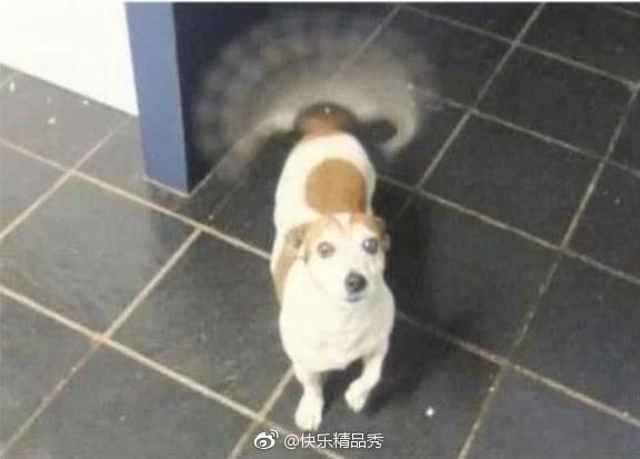 大王搞笑图片段子:有个女生穿裙子没穿安全裤