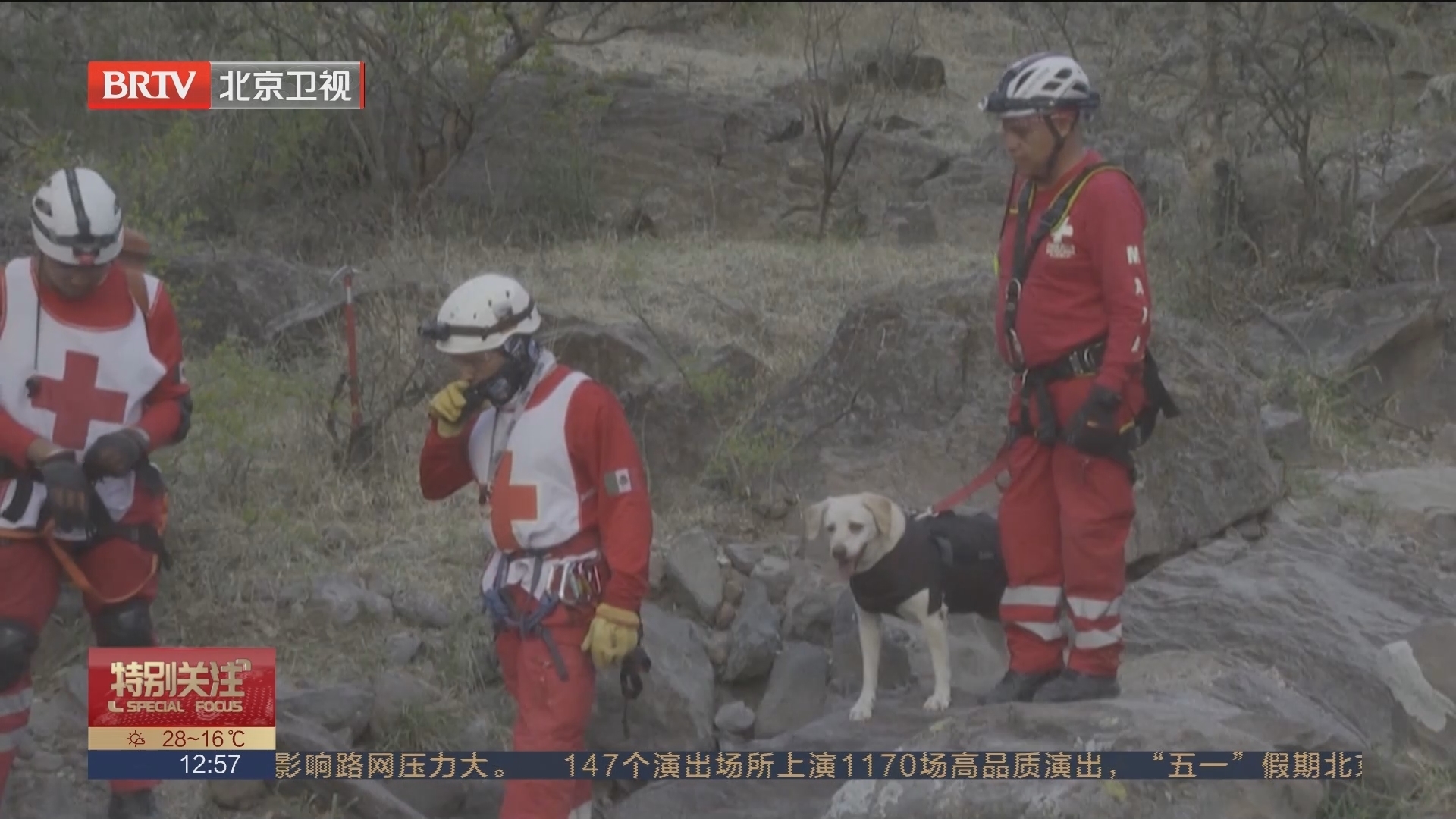 勇敢的“汪汪队” 墨西哥举行搜救犬救援演习