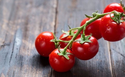 夏季减肥可以吃西红柿吗 西红柿减肥食谱