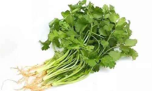 赘肉多的像怀孕6个月?用了一颗香菜,体重蹭蹭