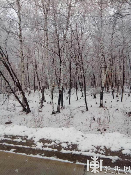 黑河市逊克县等地出现降雪天气 气温下降明显