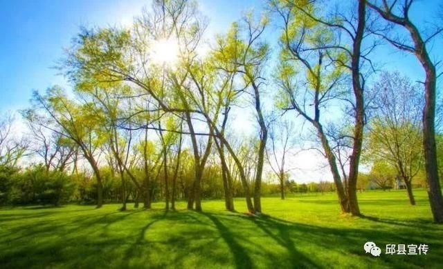 天气早知道邱县六月份这几天有雨,点进来看…