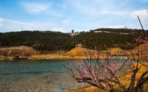 长三角、粤港澳八大不限购城市,惠州毗邻深圳