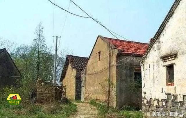 2018农村宅基地又有新规,这三种违法宅基地将