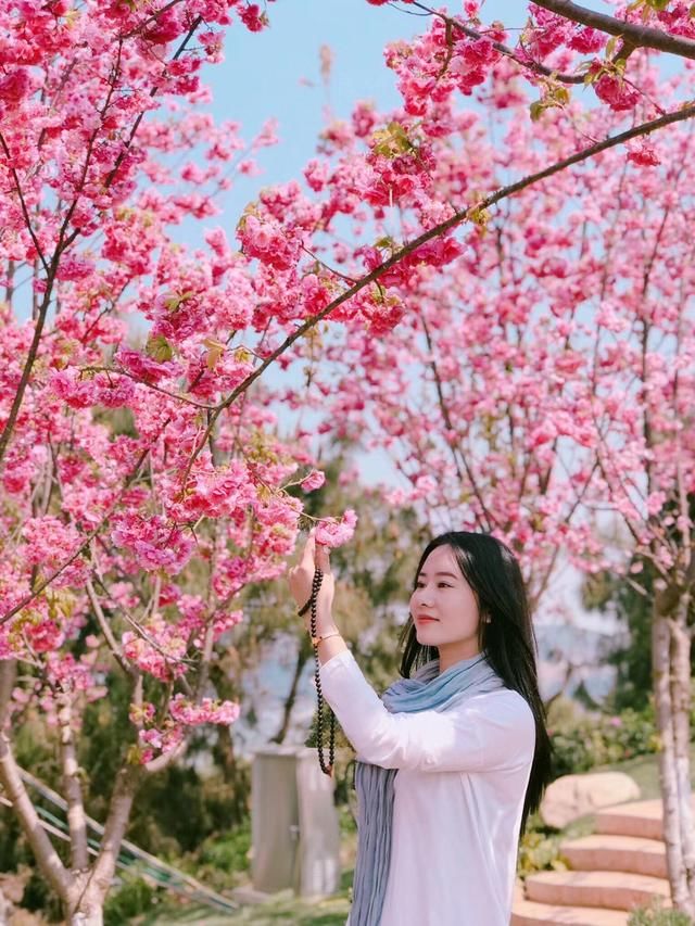 昆明呈贡万亩梨花VS仙女抚琴,围观男子:还看什