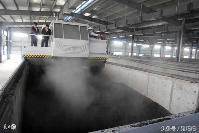 什么是同位发酵床养猪和什么是异位发酵床养猪