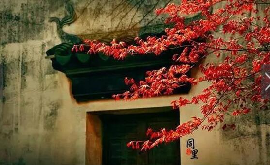 全国十大最美古镇,排名第一竟是它?