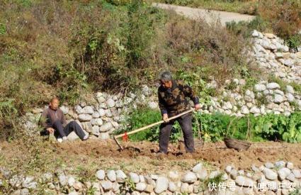 农民种地为何越种越穷,种地不挣钱真相,农民朋