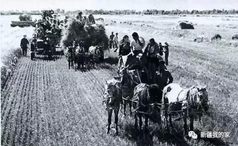 他两次主政新疆,宁拿低工资不拿高工资,一家三