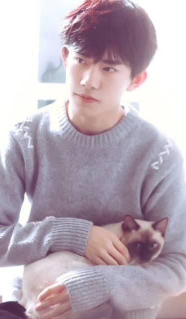 大家只顾着看易烊千玺晒宠物猫的视频,却忽略