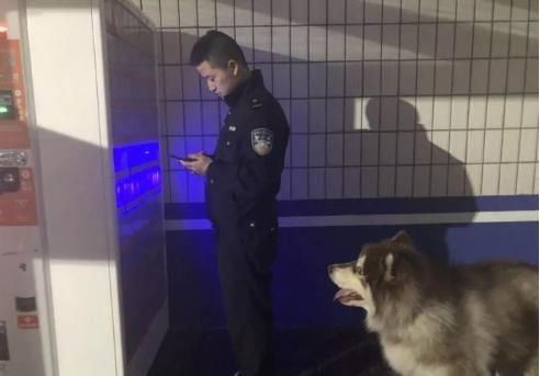 雪橇三傻聚会派出所,蹭吃蹭喝硬是把警察蜀黍