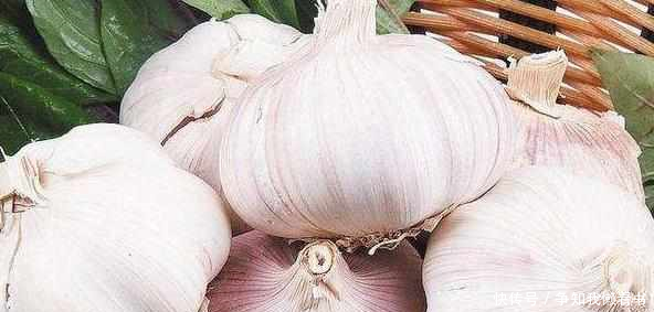 高手意外掌握1招用大蒜钓鲫鱼的绝招!鱼获31斤