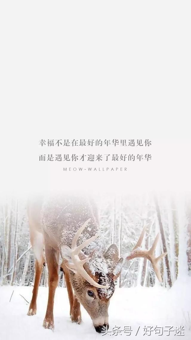 朋友圈负能量爆棚的经典语录,现实又很扎心的句子