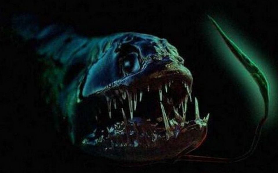 海底1万米到底多恐怖?看到这些怪异生物恐惧