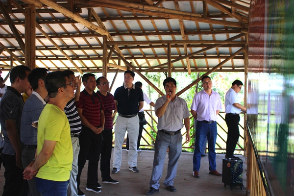 广东省扶贫办处长邓培熙率广东省帮扶广西扶贫