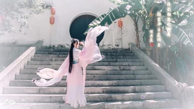 古言《王爷的圣手倾妃》在线阅读全文