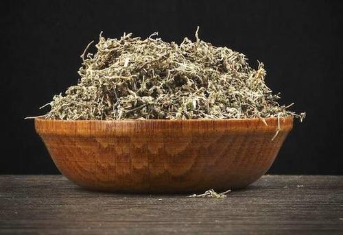 鹅不食草是一种野草 对鼻塞、鼻炎有很好作用