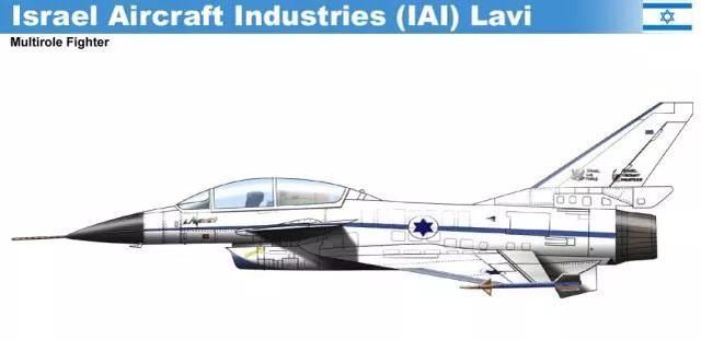 狮和幼狮战斗机,差别如何,谁与歼10有着血缘