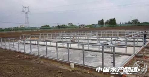 流水养鱼模式的养殖方法和效益你知道吗