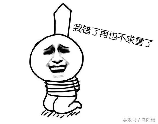 洛阳中到大雪,局部暴雪!最新天气预报…