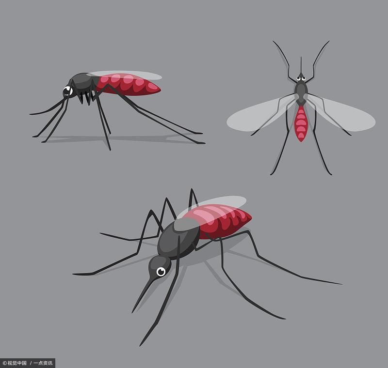 宝宝招蚊子怎么办?出门带一物,止痒、不起包,