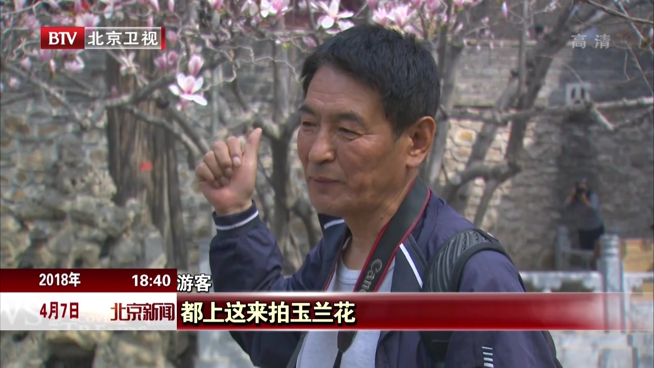 北京：古刹春意浓  繁花醉游人