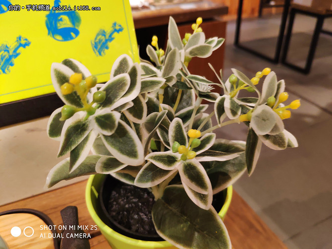 电商最火旗舰机PK 一加6\/小米MIX2S拍照对比