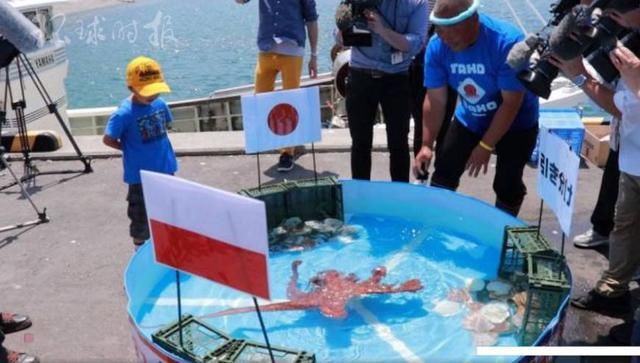 2018年俄罗斯世界杯赛况 日本神预言家的悲