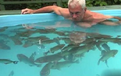 杰瑞米似乎很紧张，双手紧抓泳池边缘。不过要是真的出事了，没抓着泳池边赶快起身会完蛋吧!不过可以发现鱼群离他远远的，因為他们其实真的很胆小。