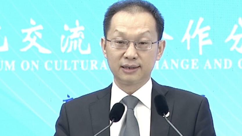 文化如水，润物无声！市文旅局局长杨烁：以艺通心 以文搭台 以情促融