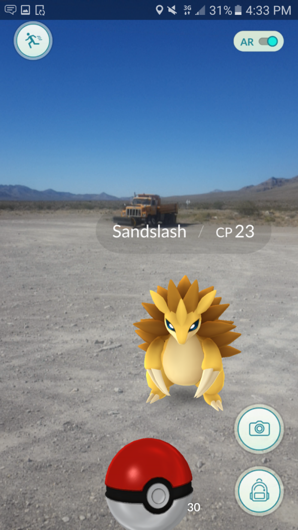 当然,51禁区还有如胡地,胖丁,穿山王等其他宝可梦.