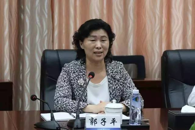 汕:深圳市宝安区委常委、常务副区长郭子平率