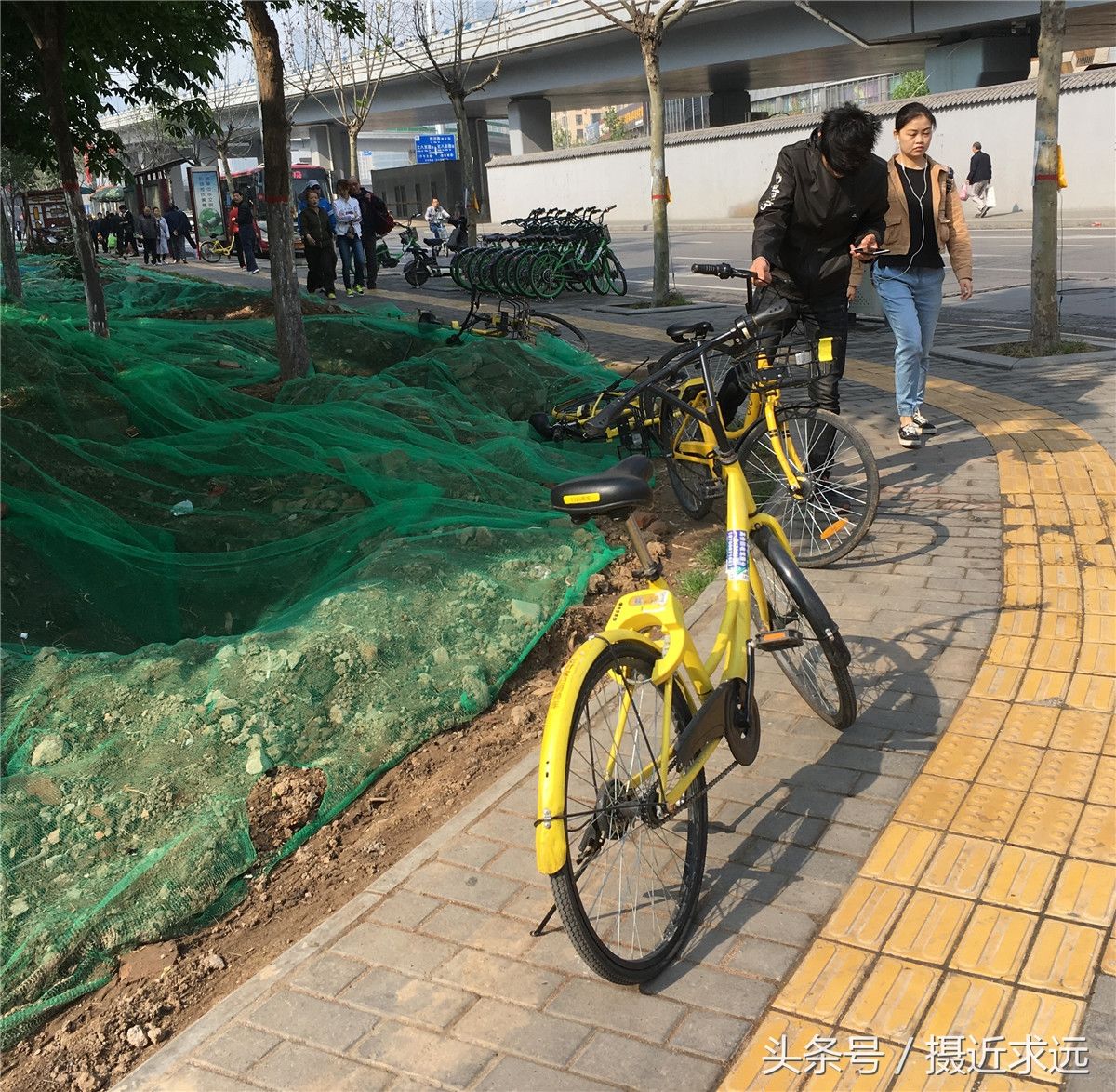 往返2公里才发现不多于10辆摩拜单车 为啥越来越少