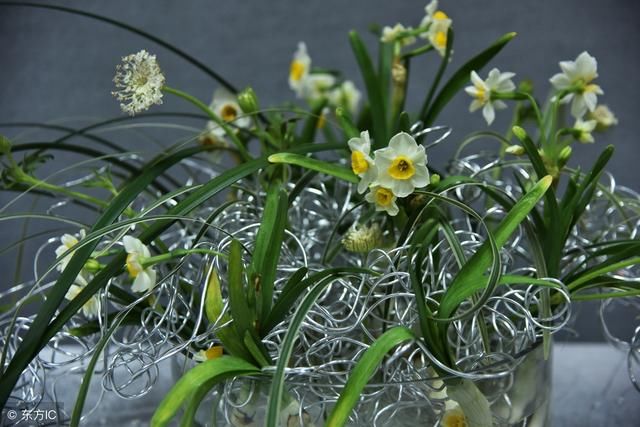 昆明小升初作文辅导:描写春天的课堂体验作文