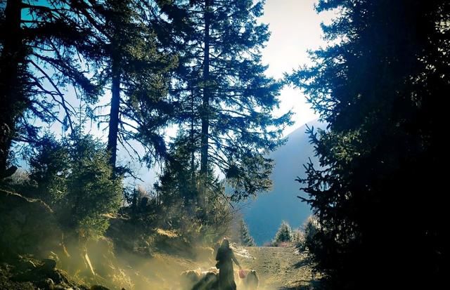 有钱与没钱的现实(句句戳心)