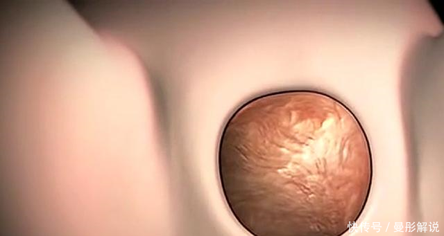 宝宝是怎么从妈妈那么小的产道口生出来的,看完心疼女人一万遍