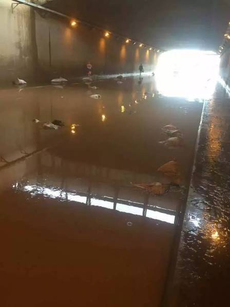 “他们两口子是前后脚走的，因为张春蕊没有雨衣，怕雨之后下得更大，所以就先带着儿子赶忙先走了，她老公就过了不到20分钟吧，也往回走。”据张春蕊的表姐讲述，这次偶然的聚会，成了一次不归之旅。“穿过涵洞，我们就到家了。”20日凌晨0点半左右，老陈一边小心翼翼地骑着电动车，一边嘱咐女儿抱紧自己。但那条回家必经之路已经被大雨泡成了“海”。他以为一路开过去，无非是裤腿被打湿，直到看到已面目全非的涵洞。