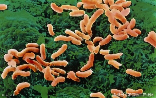 如何判断幽门螺杆菌是否已被消灭干净?4个方