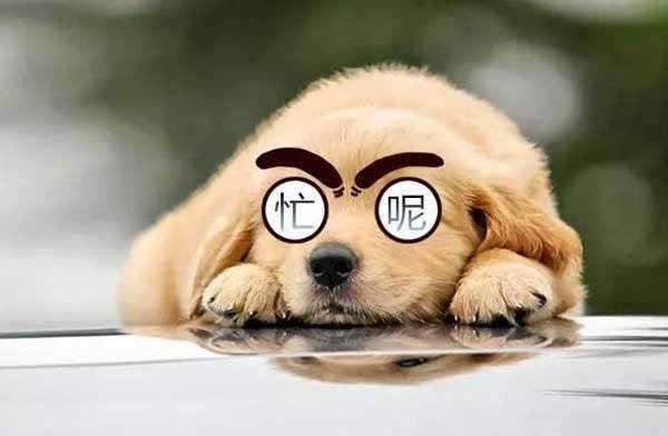 月薪1万与月薪2万,在上海租房与生活的区别