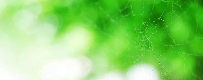 励志语句:在逆境中前行,在失败中奋起,一定会赢