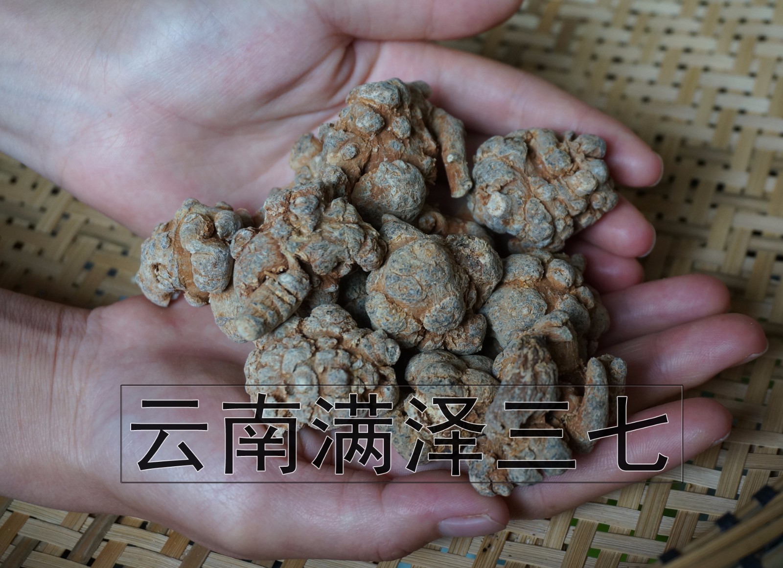 三七粉吃生的还是熟的好,生三七粉和熟三七粉