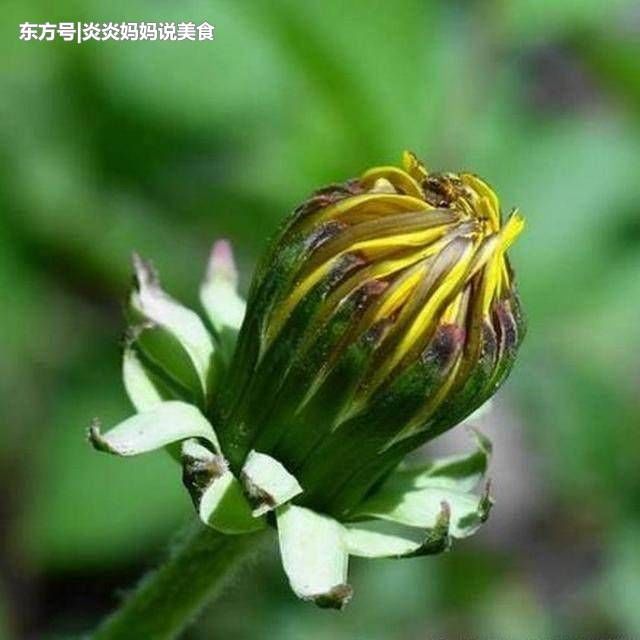 高血糖最怕的9种碱性食物,每天坚持吃,稳定血