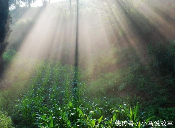 秦始皇设一官职:文无害,让中国领先世界2000年