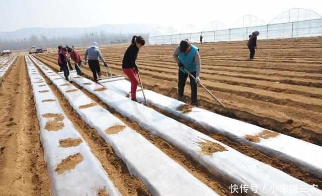 一女子已经出嫁,但是户口没有迁出娘家,那么土