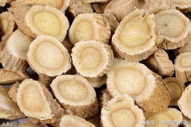 黄芪山药大枣粥防过敏