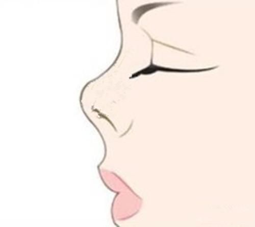 鼻子短的人,无法延续家业,六亲疏远,独自创业、