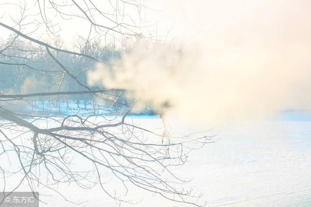 八字格局解析正财格偏财格正印格偏印格正官格